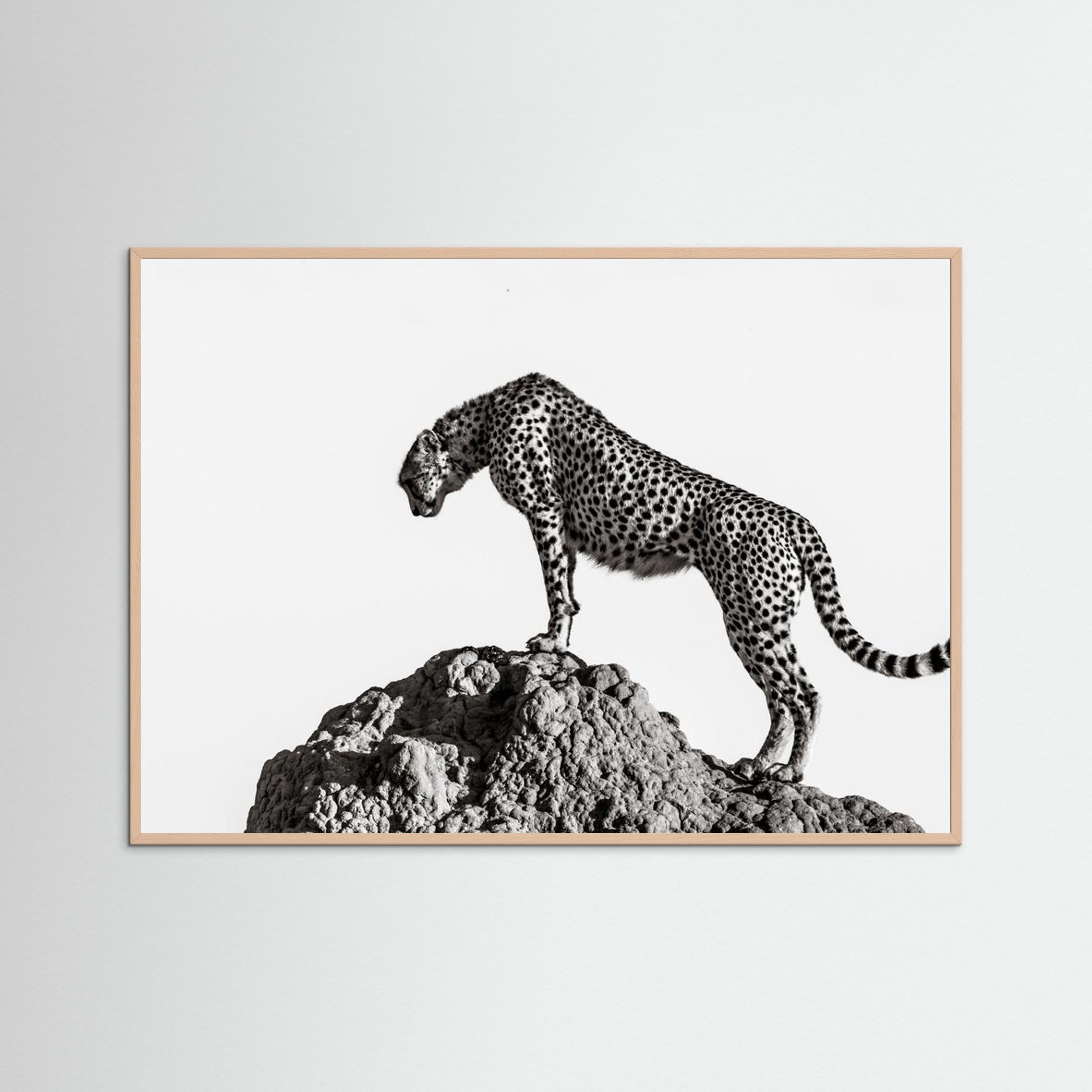 the hunter by Ali Fine Art Paper 