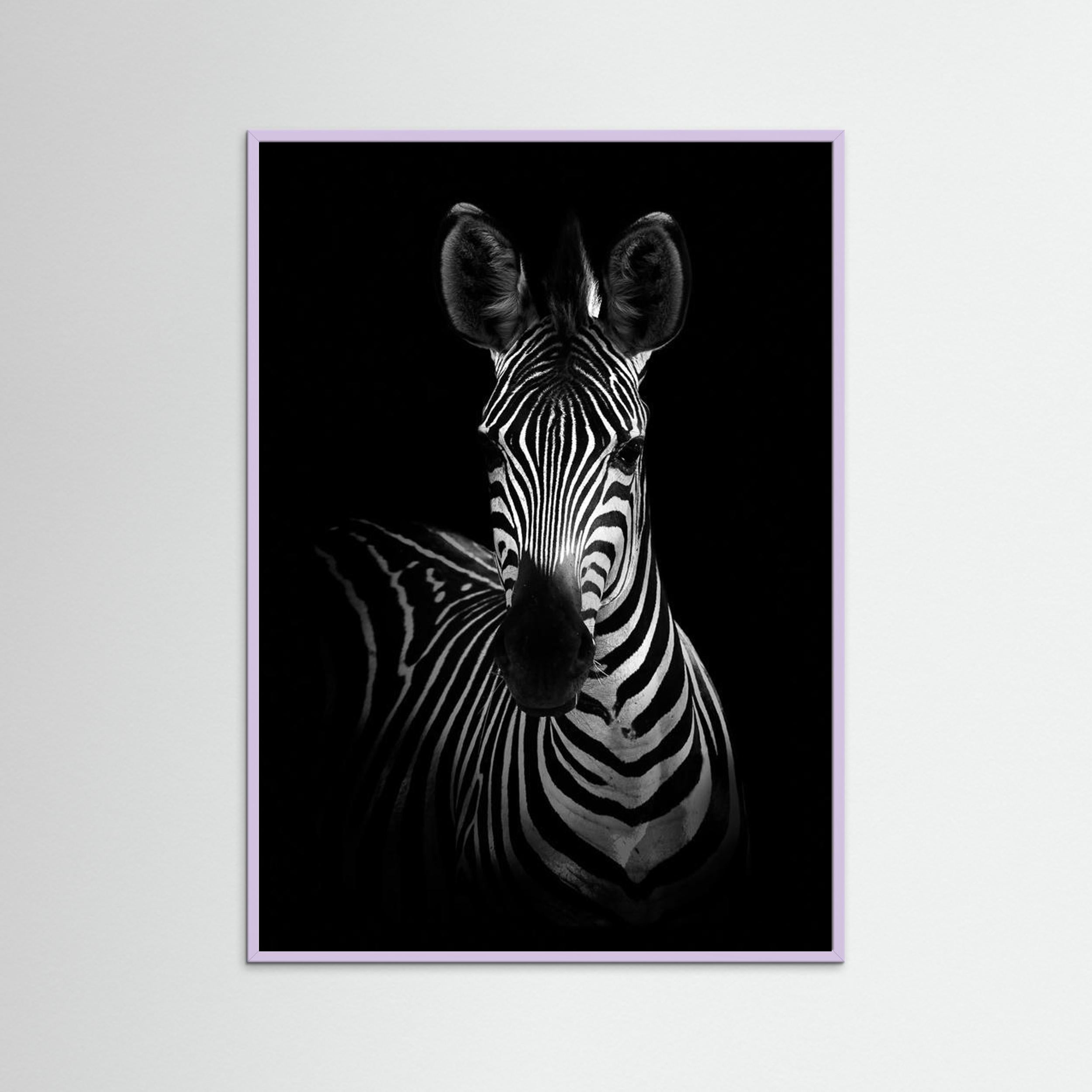 The Zebra by Wild Photo Art Fine Art Paper