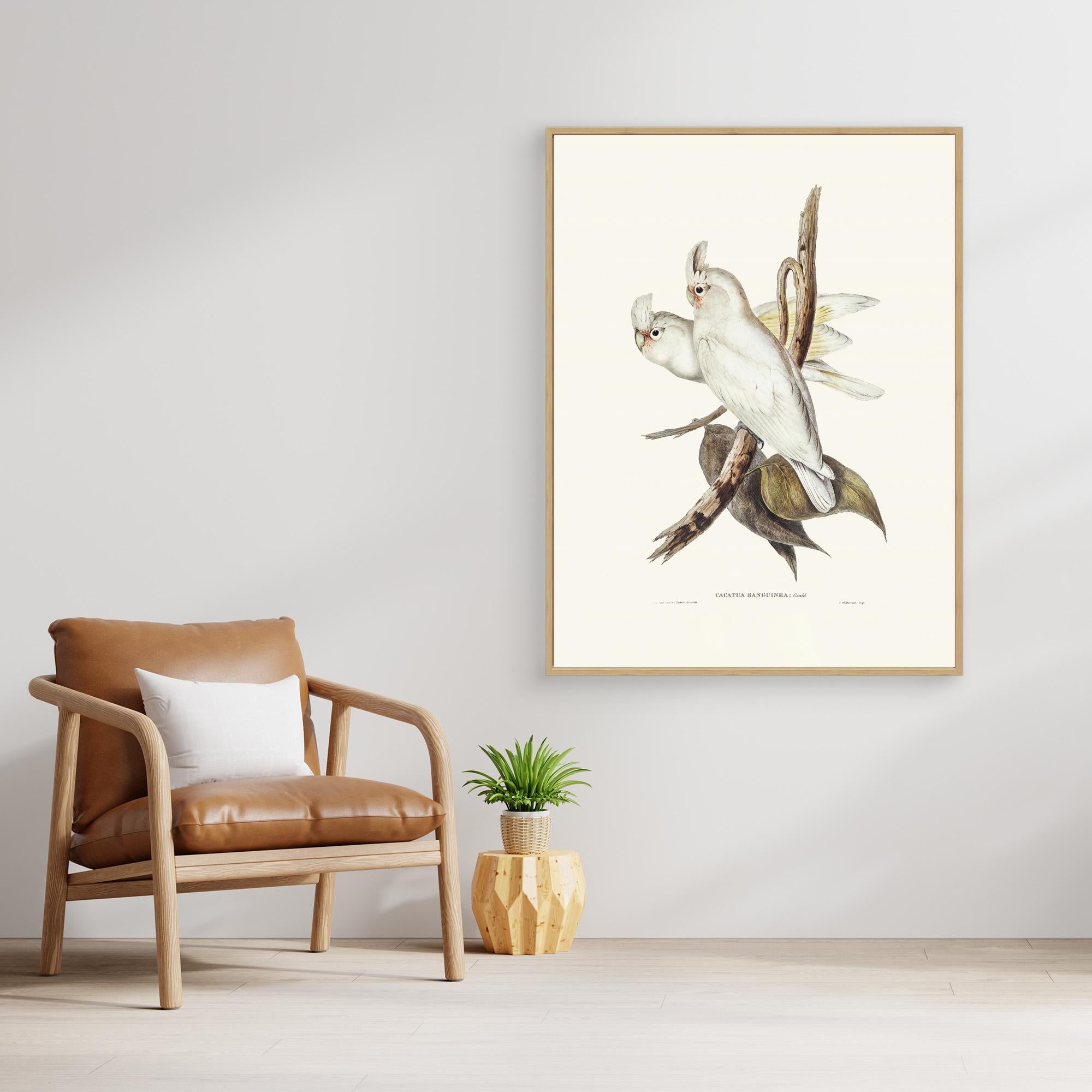 Blood Stained Cockatoo by Pictufy Canvas