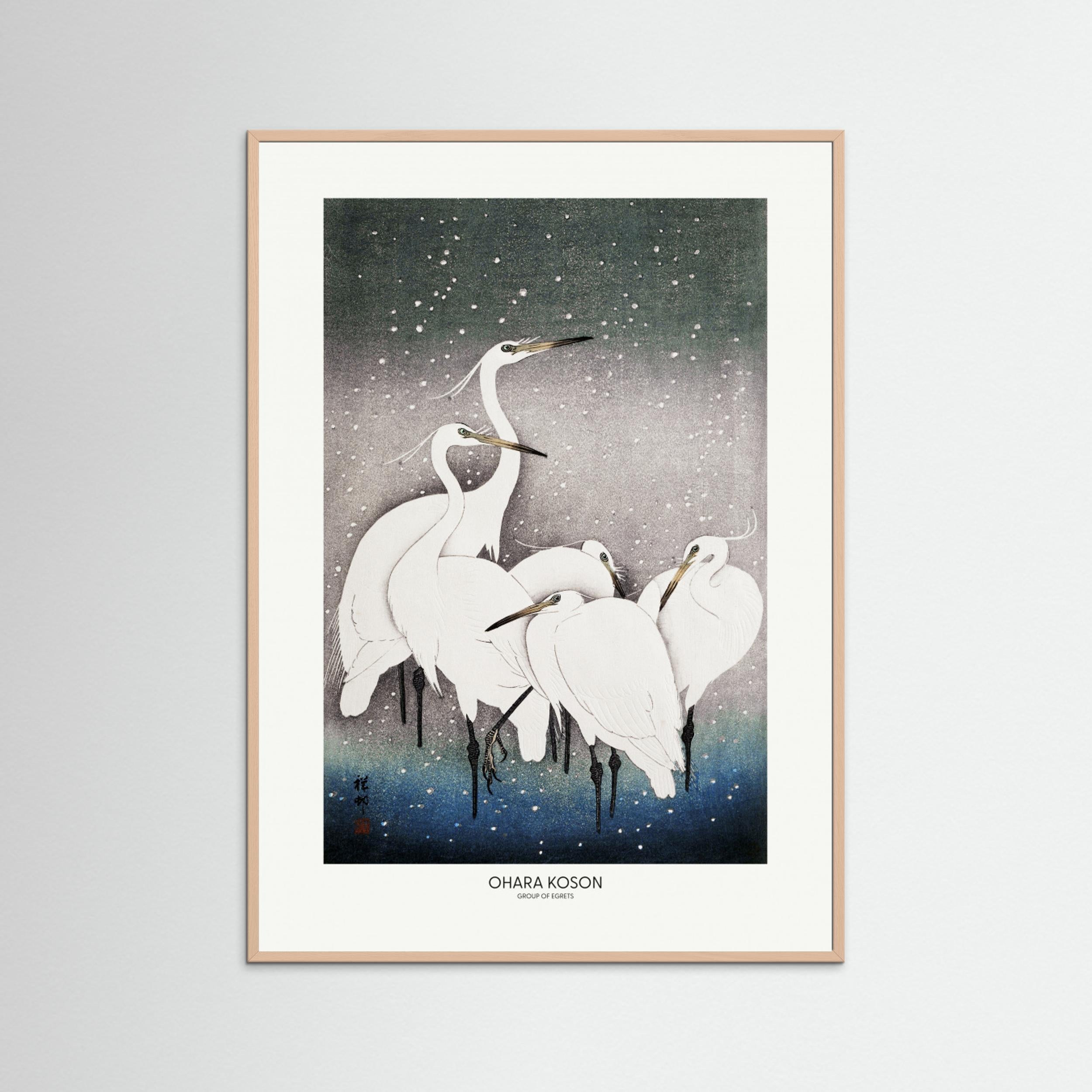 Group Of Egrets Fine Art Paper