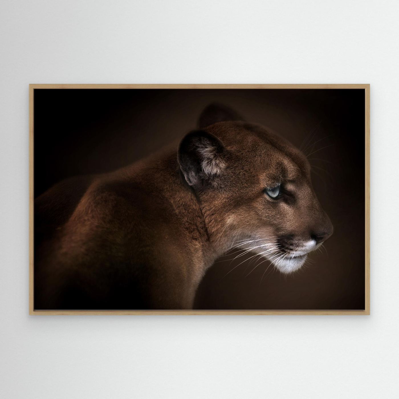 Puma by Doris Reindl Canvas