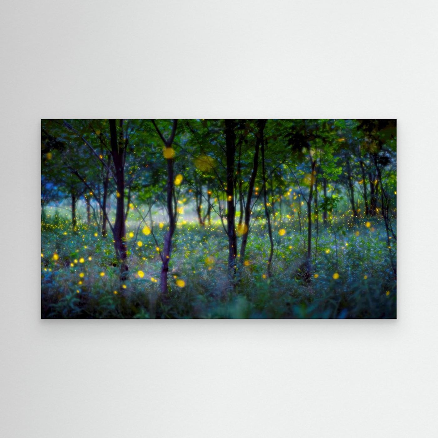 Magic fireflies by Hua Zhu Canvas