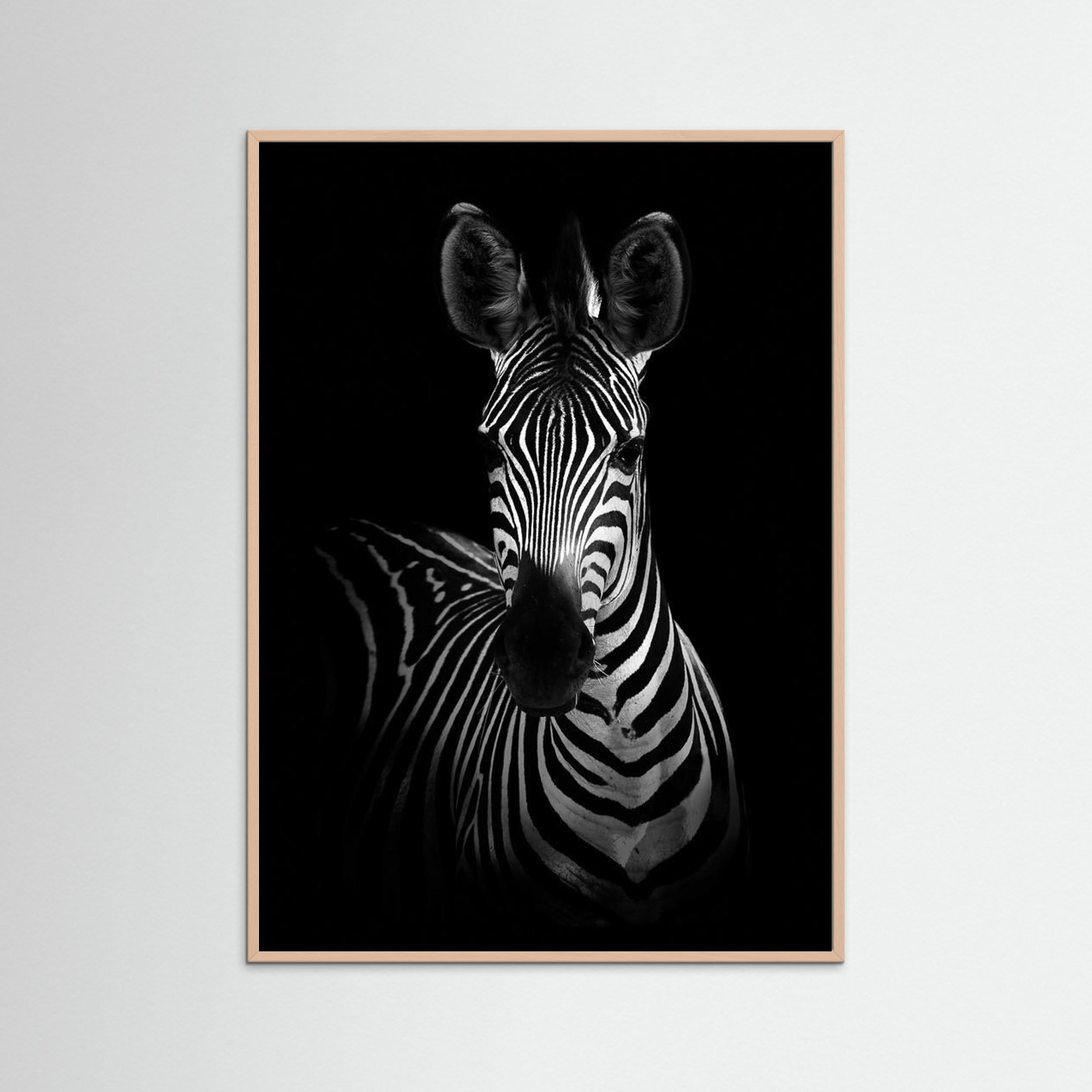 The Zebra by Wild Photo Art Fine Art Paper