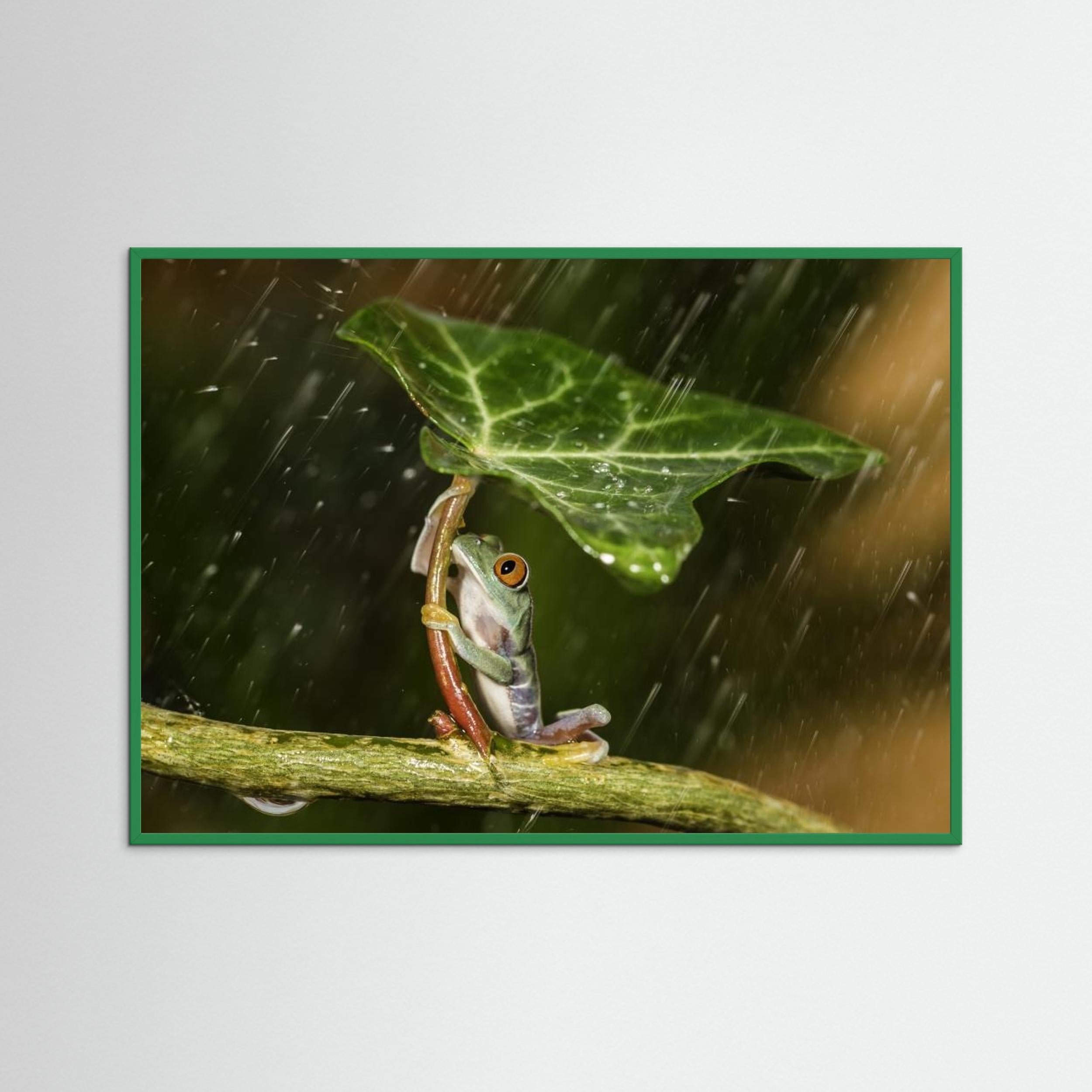 Ohh Noo :( It's Raining by Kutub Uddin Fine Art Paper