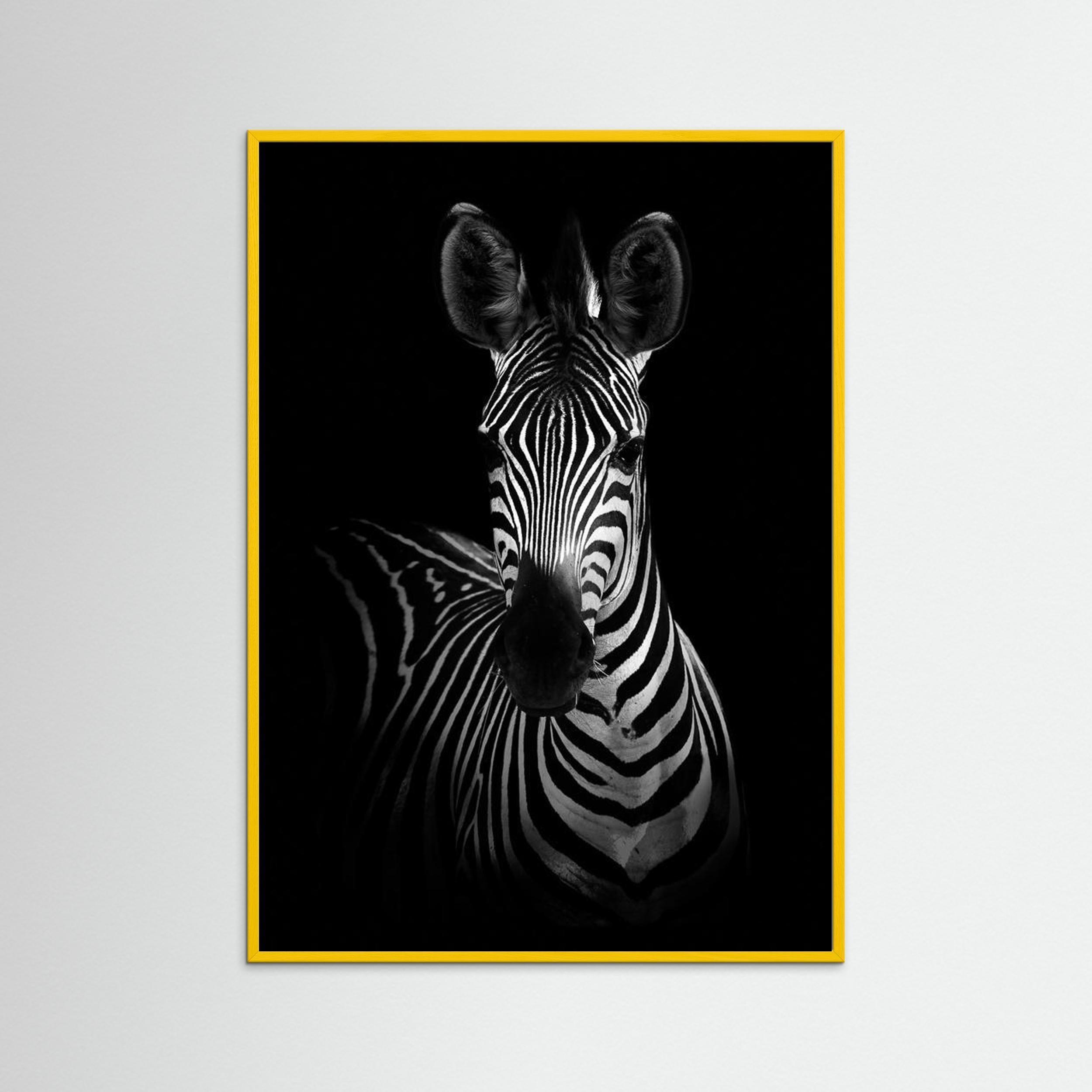 The Zebra by Wild Photo Art Fine Art Paper