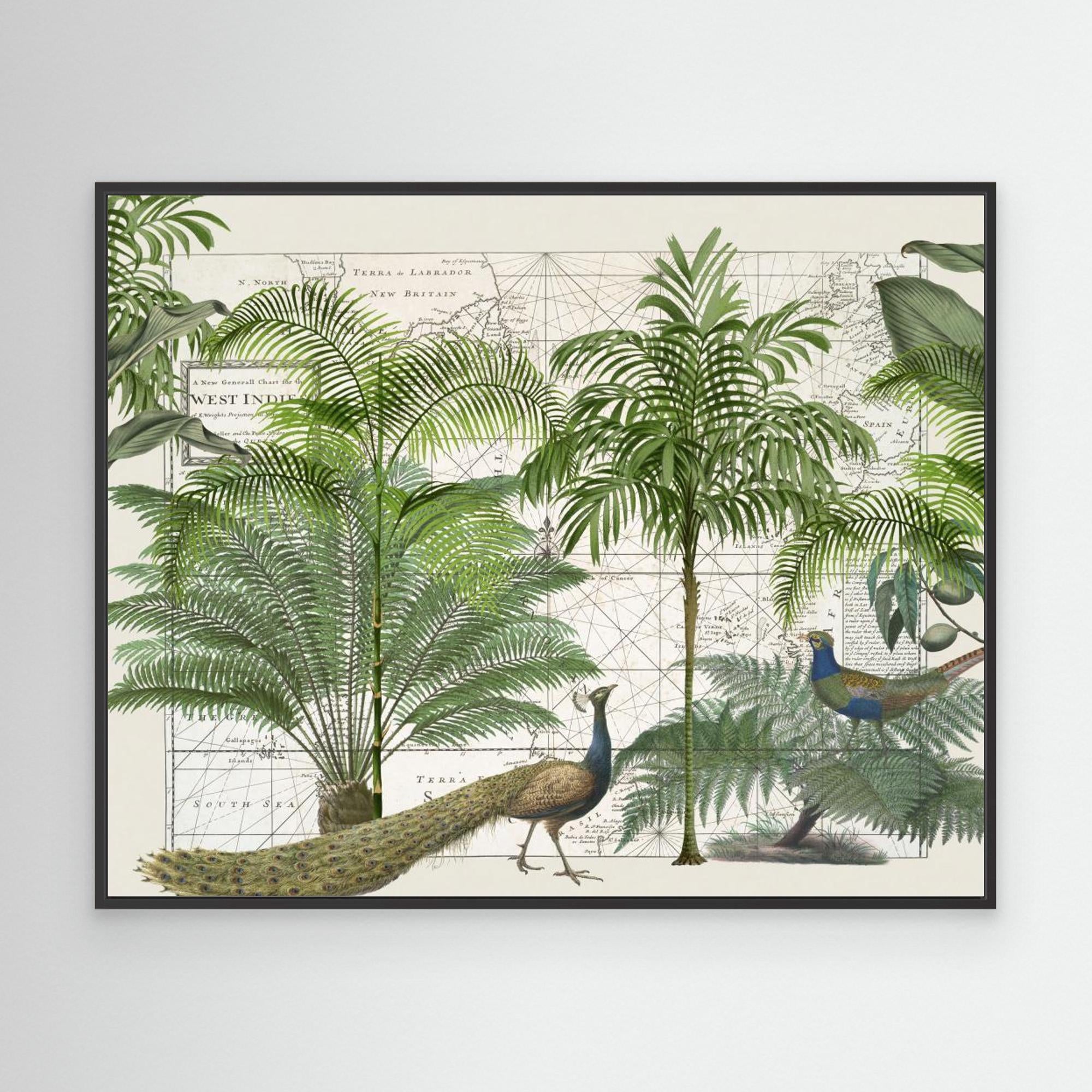 Tropical Empire No6 by Andrea Haase Canvas