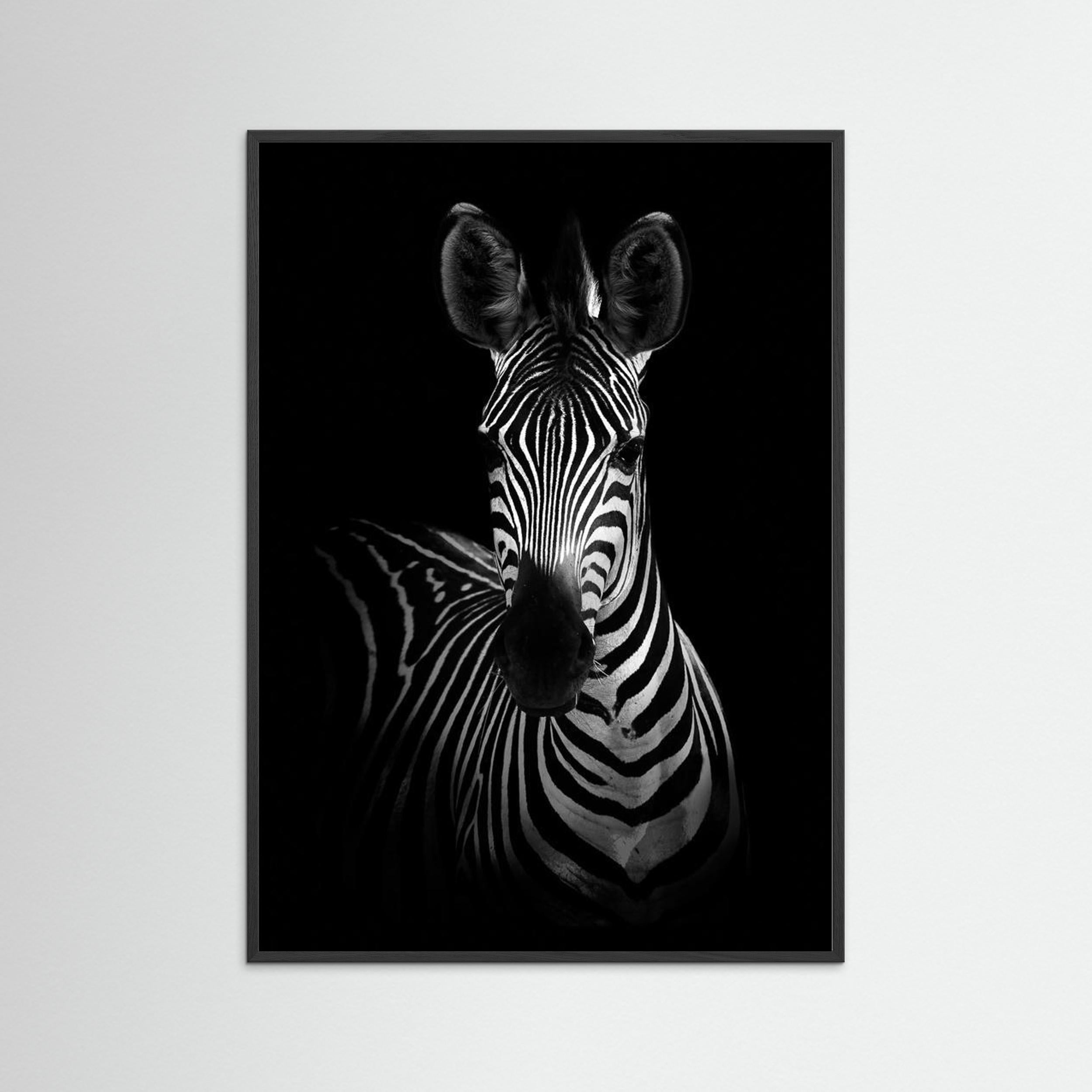 The Zebra by Wild Photo Art Fine Art Paper