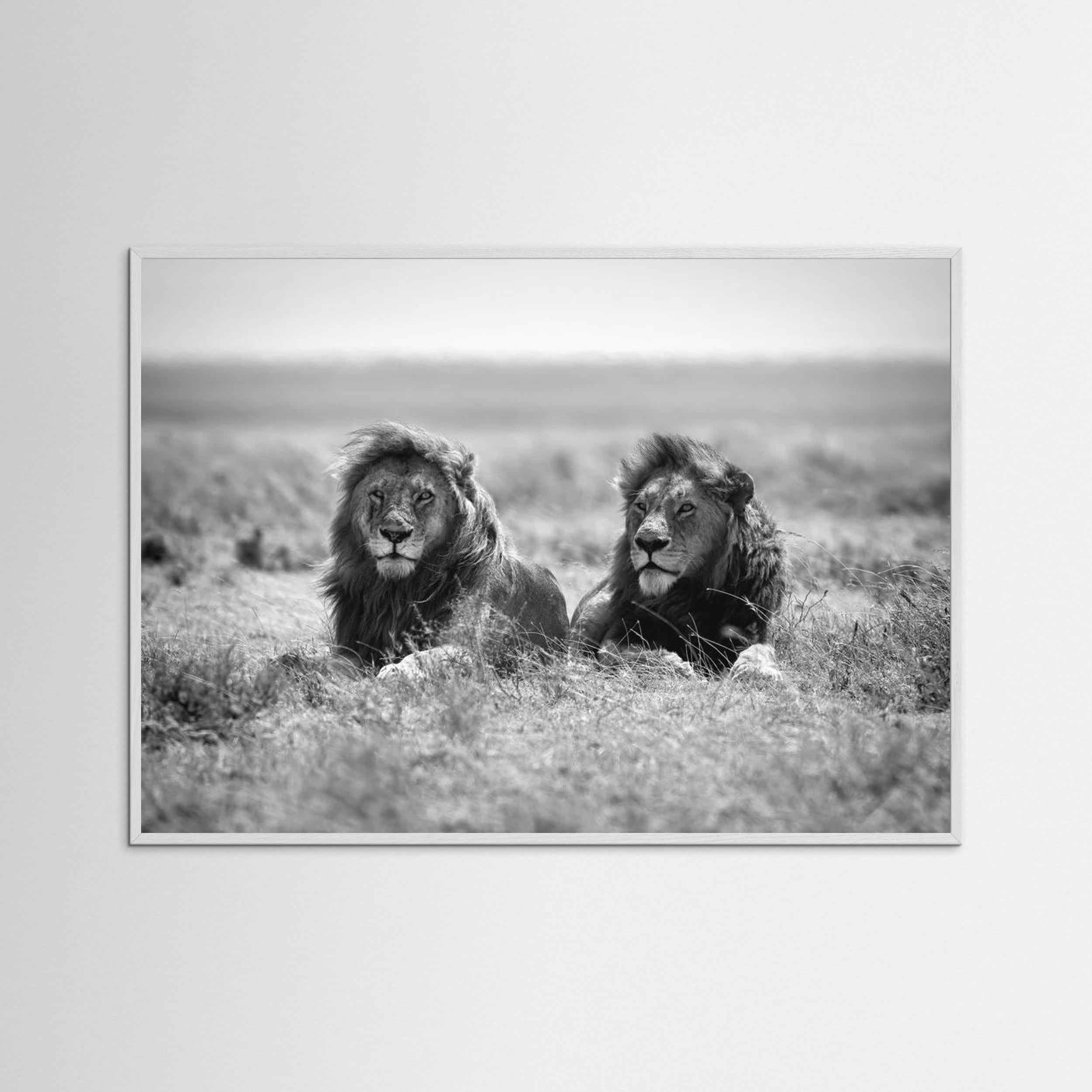 Two kings by Nicolás Merino Fine Art Paper 
