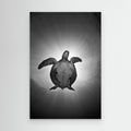 Sun by Andrey Narchuk Canvas