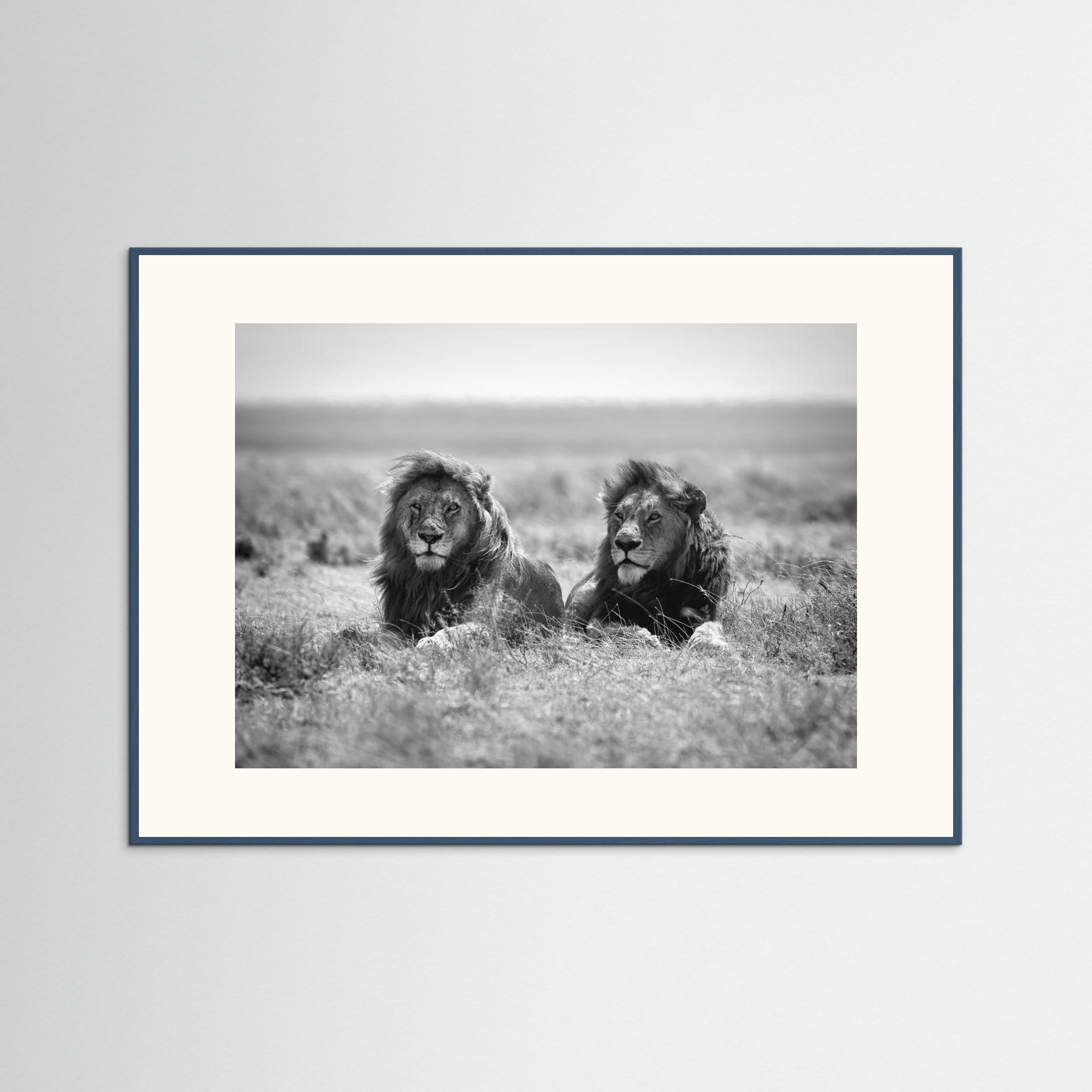 Two kings by Nicolás Merino Fine Art Paper 