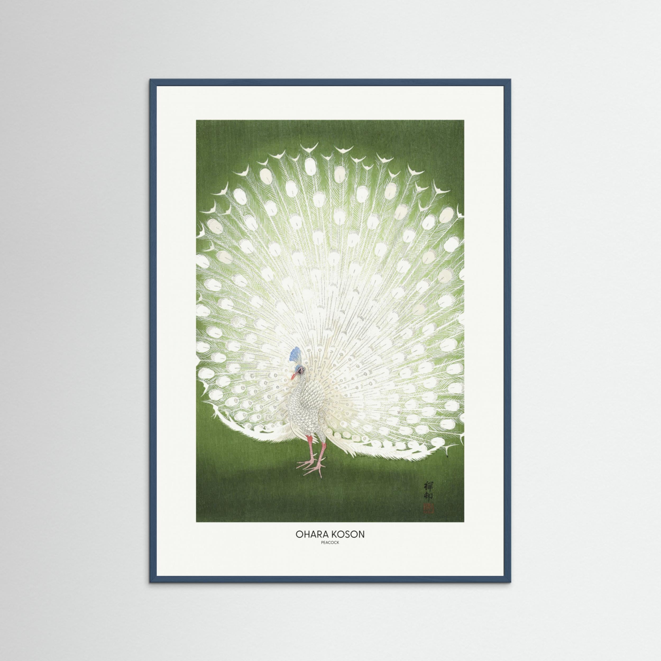 Peacock - Cropped by Pictufy