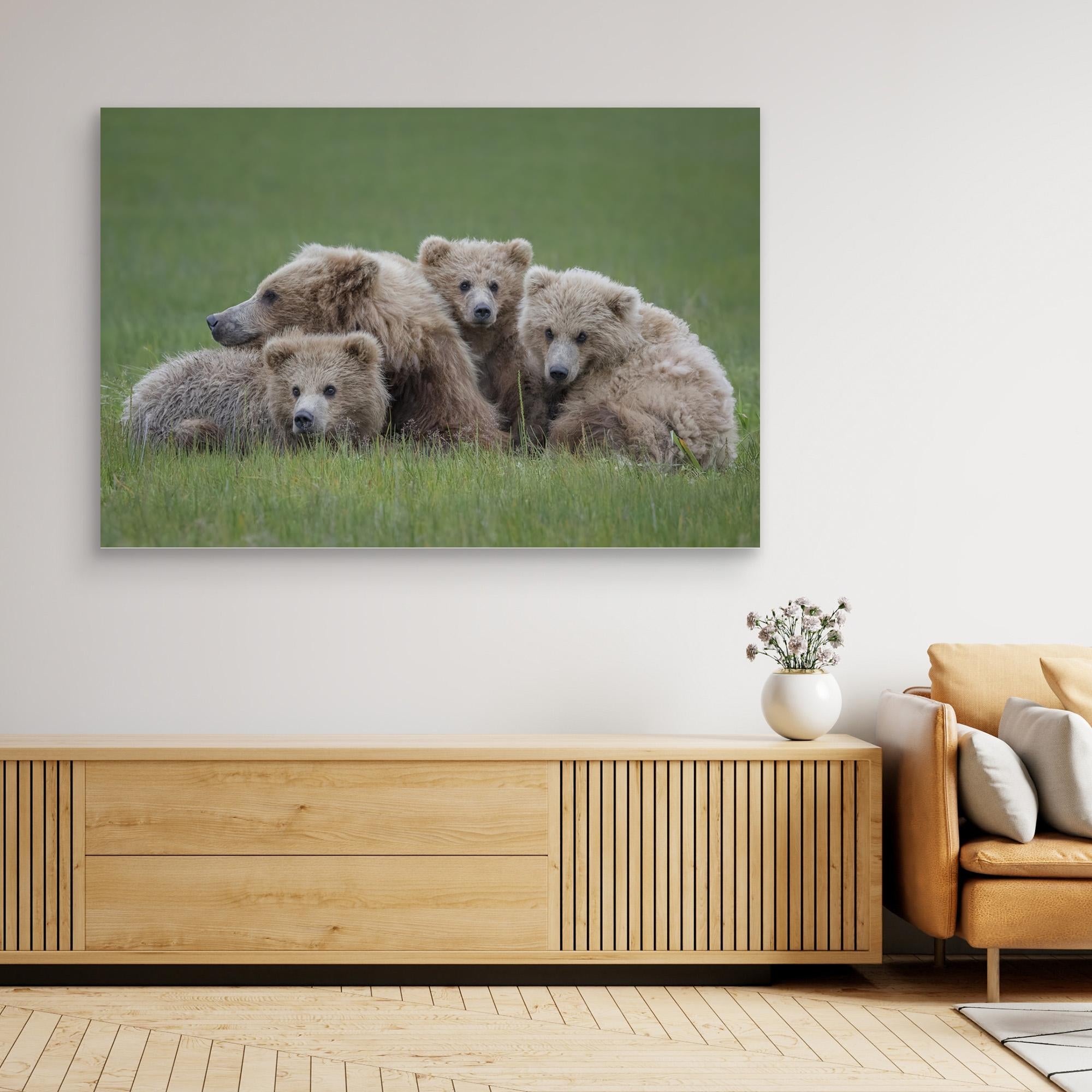 Bear Huddle by Renee Doyle Canvas
