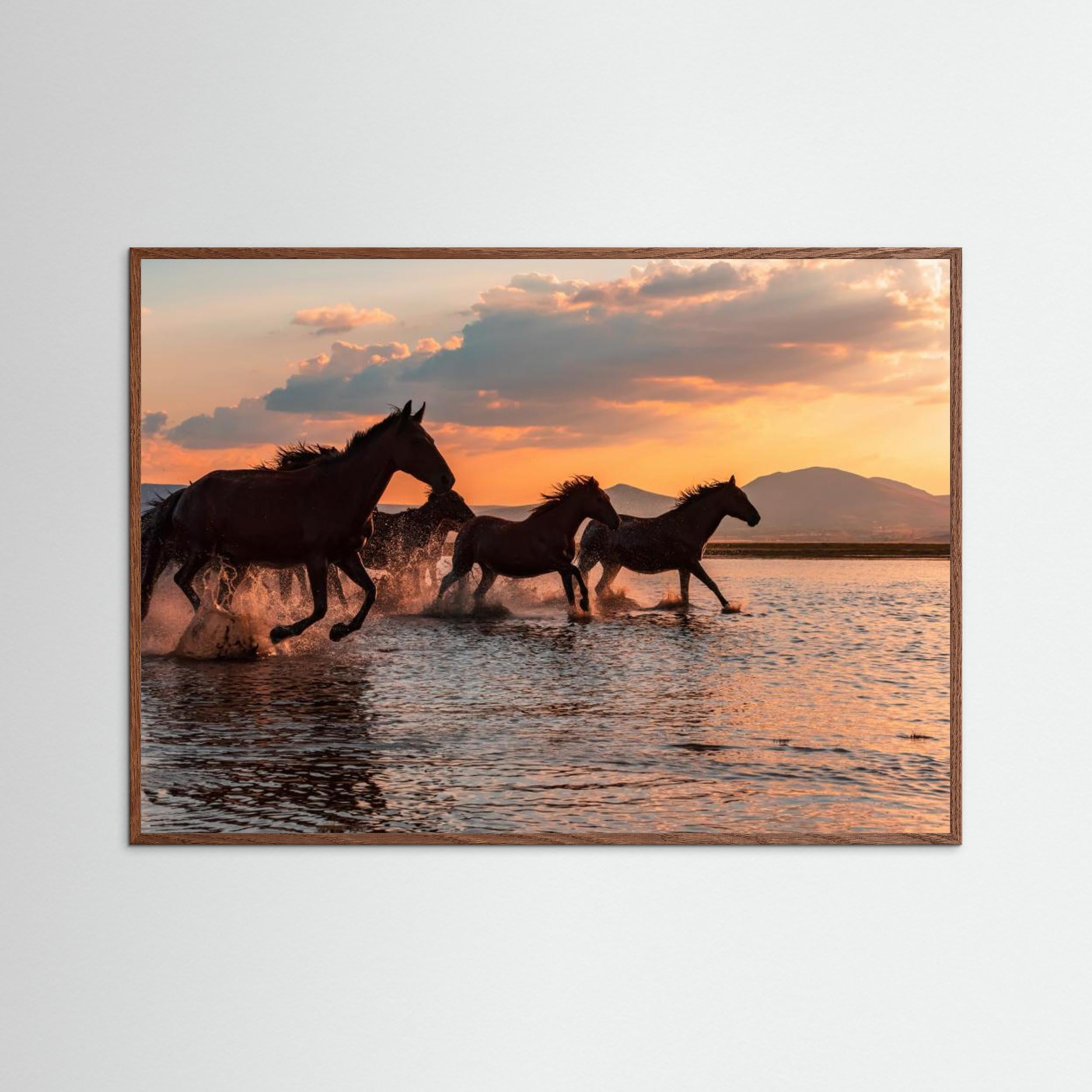 WATER HORSES by Barkan Tekdogan Fine Art Paper