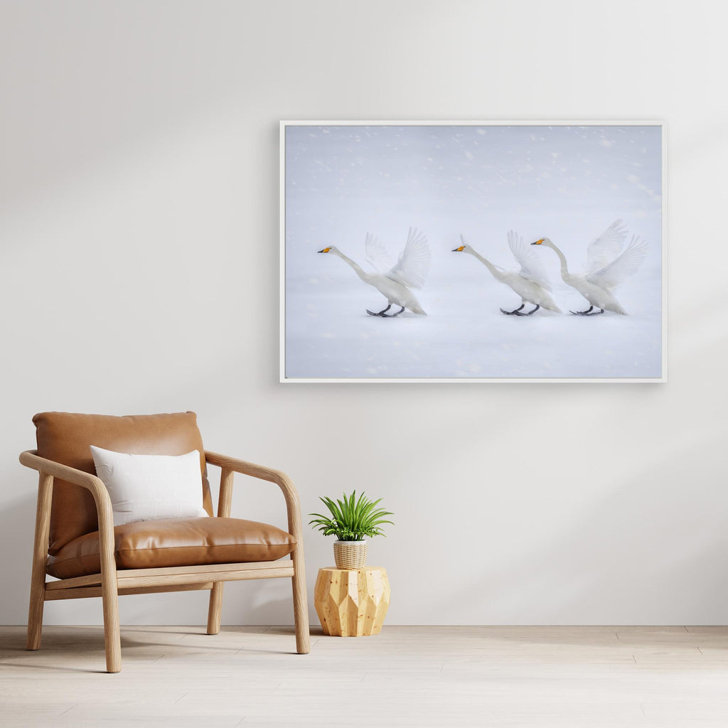 Happy in the white world by Qing Zhao Canvas