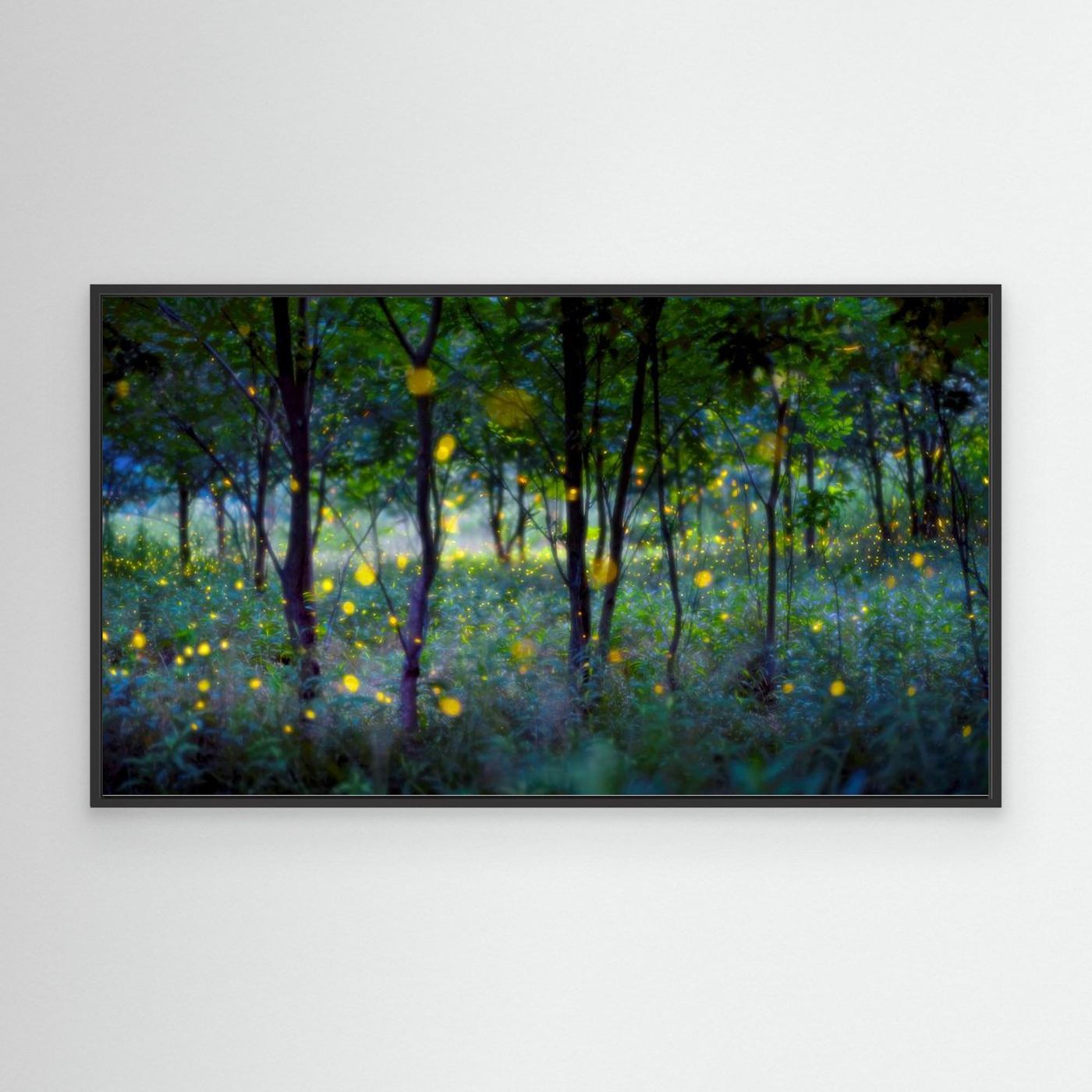 Magic fireflies by Hua Zhu Canvas