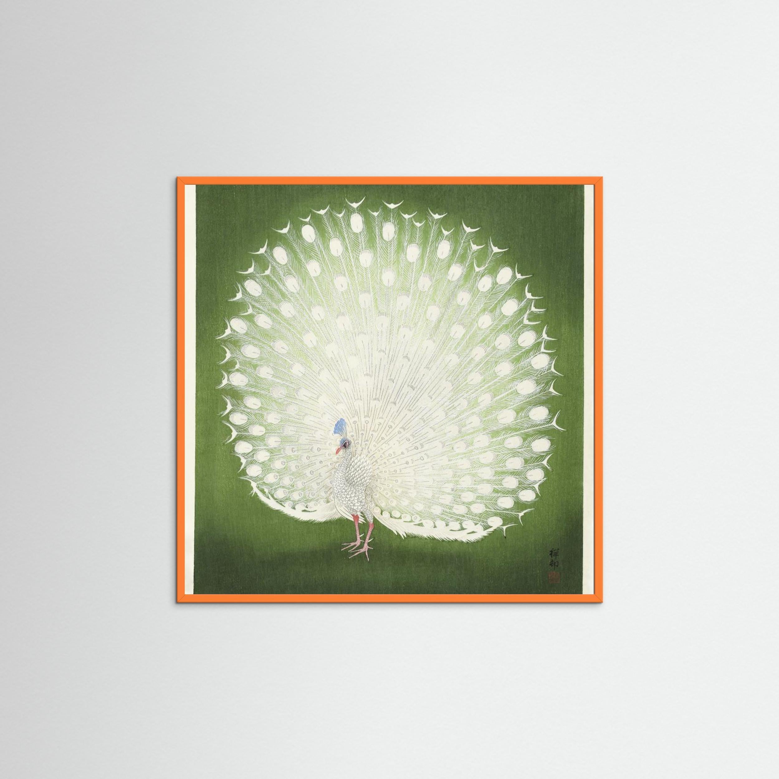 Peacock Fine Art Paper 
