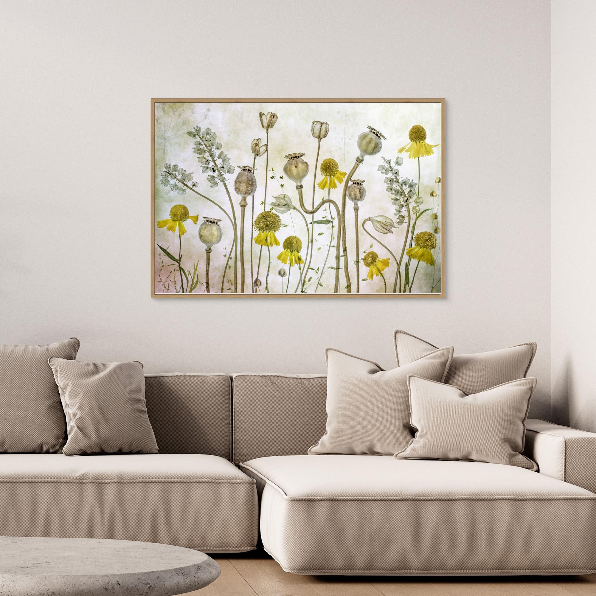 Poppies and Helenium by Mandy Disher