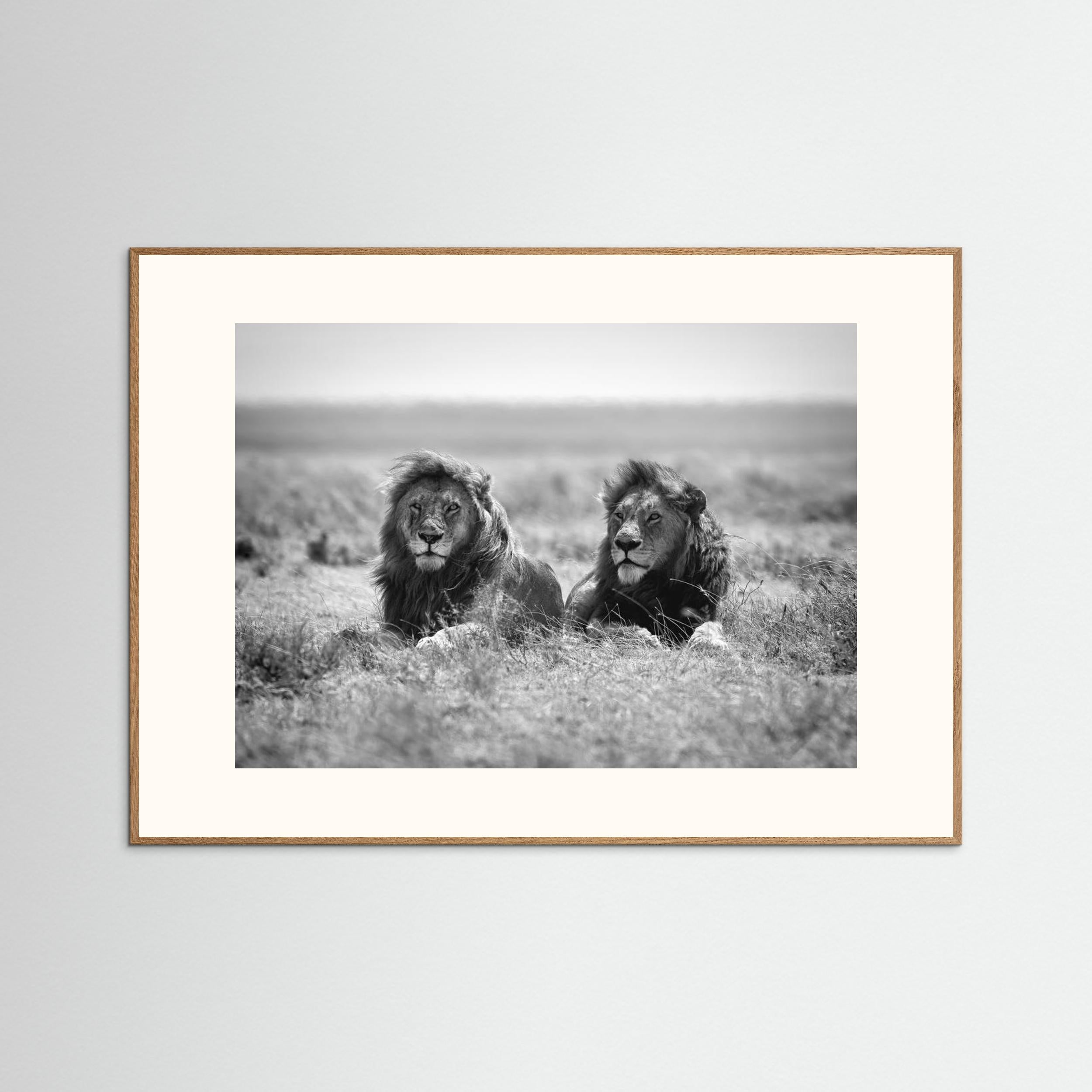 Two kings by Nicolás Merino Fine Art Paper 