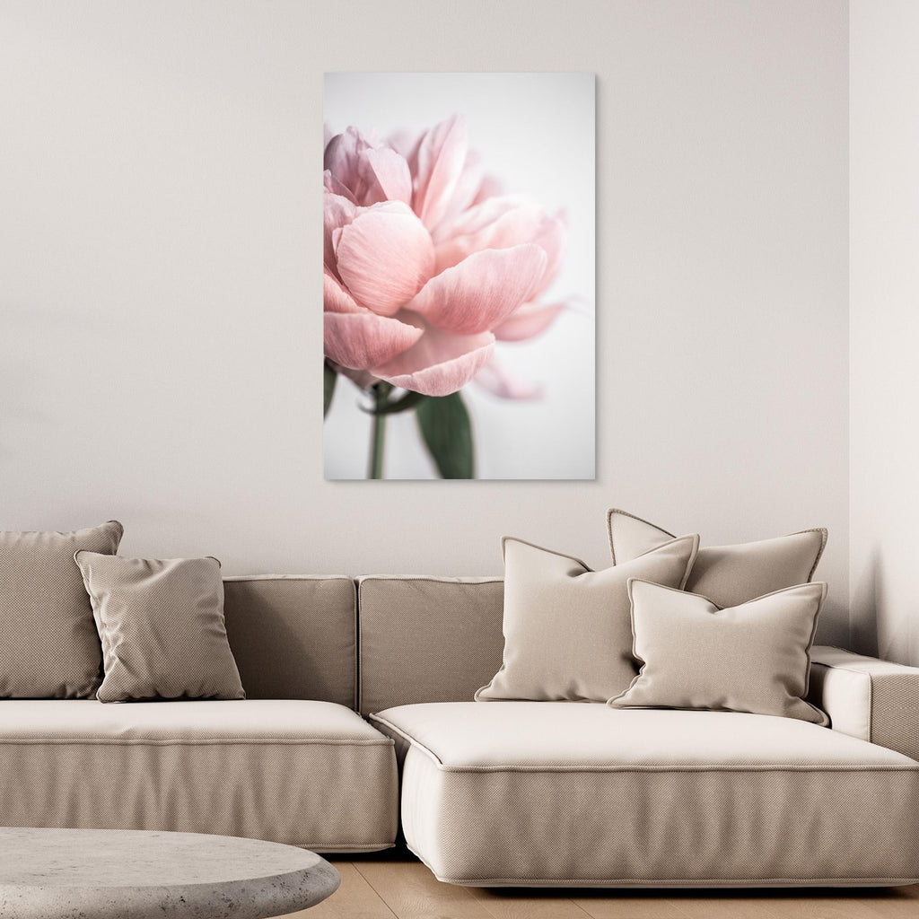 Peony 3 by Mareike Böhmer