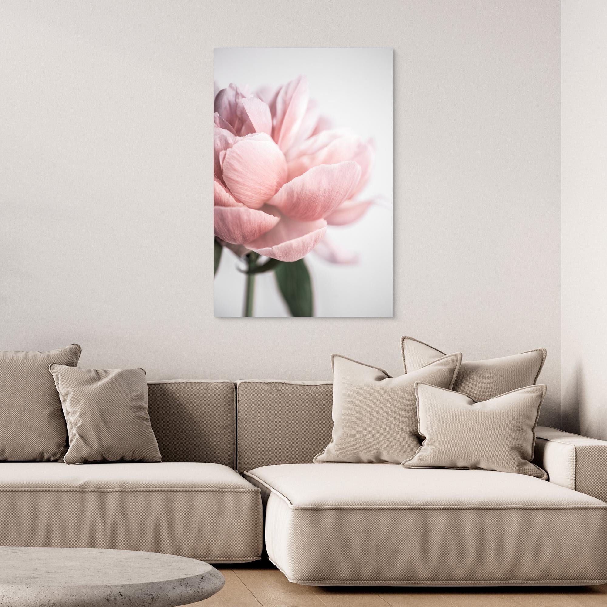 Peony 3 by Mareike Böhmer