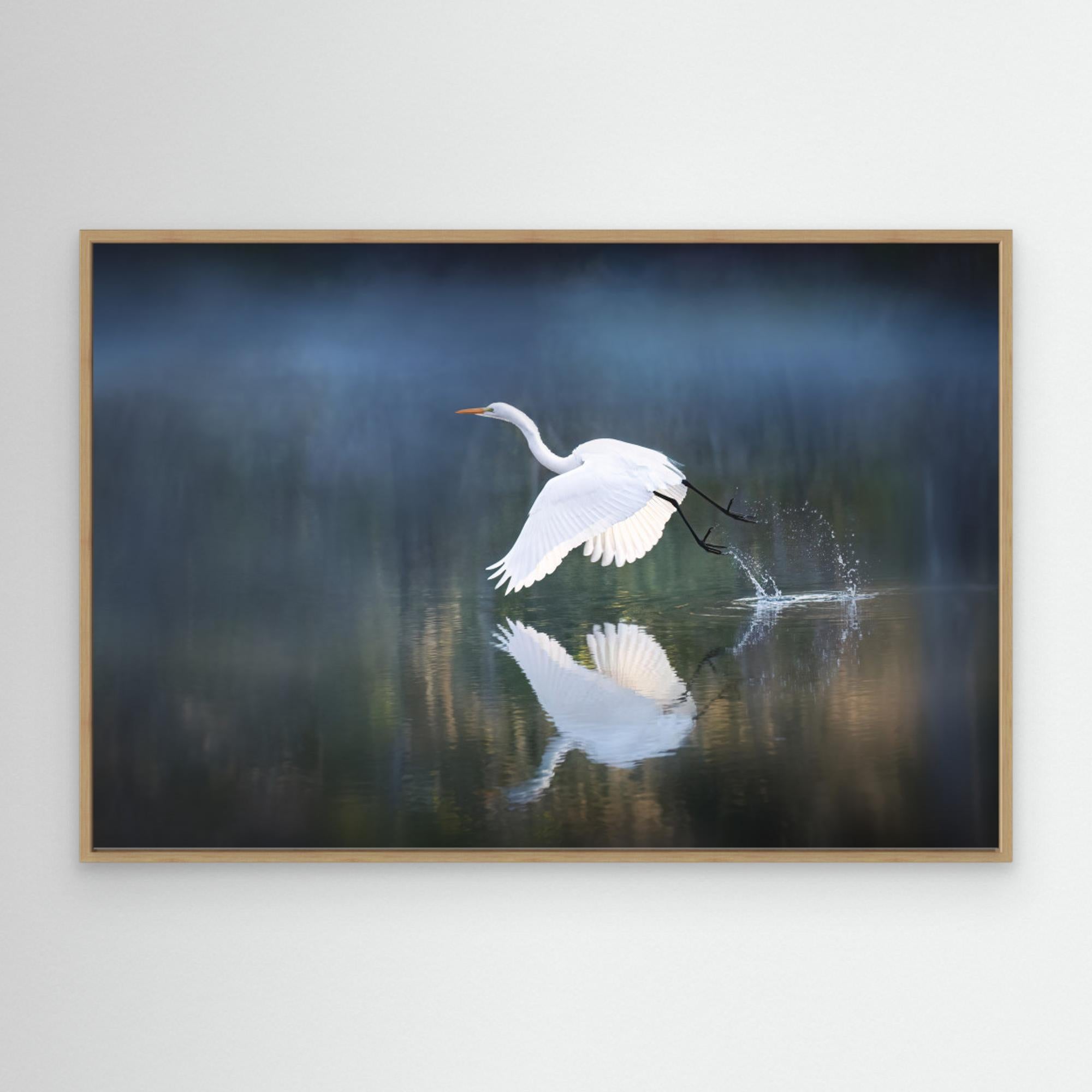 morning light by Leah Xu Canvas