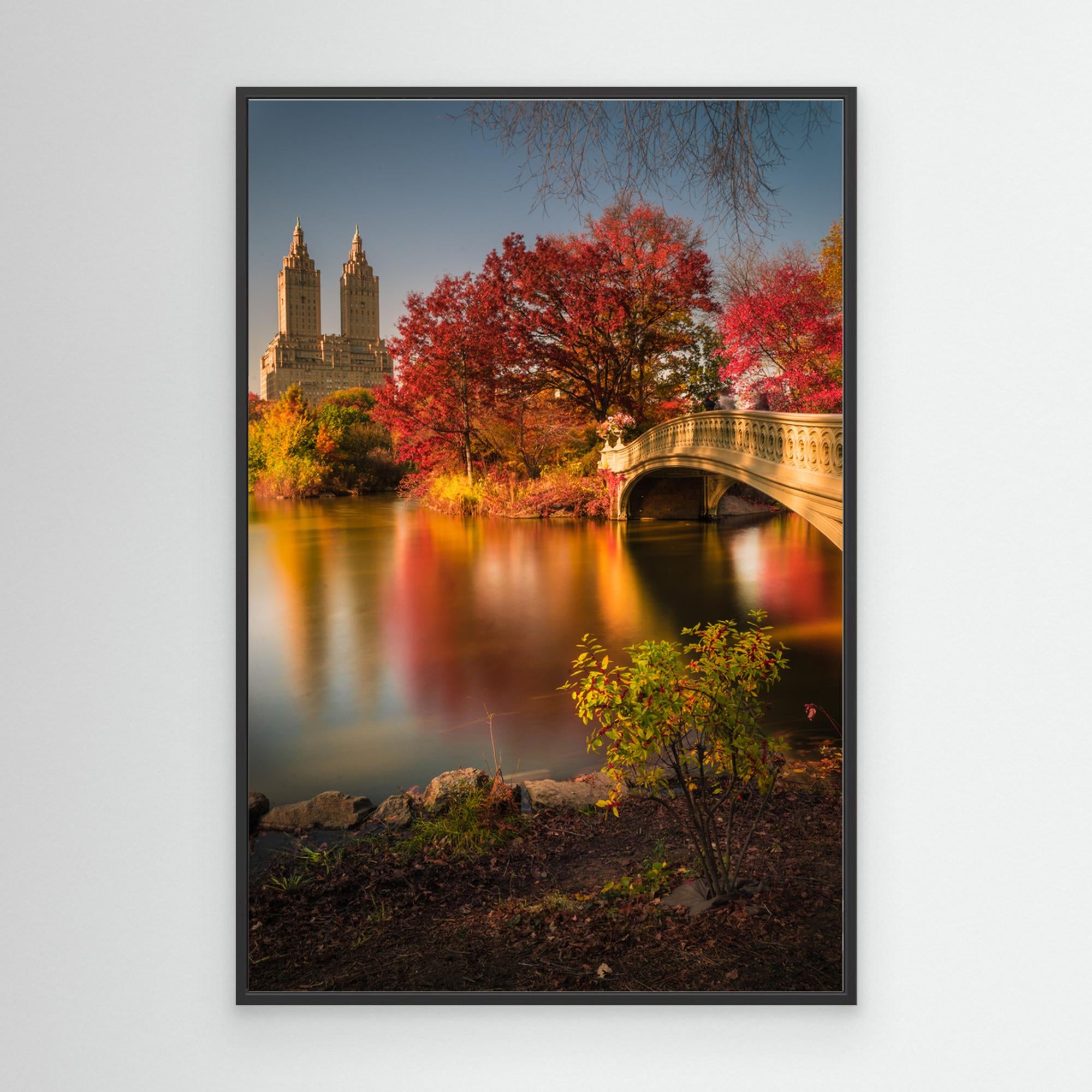 Fall in Central Park by Christopher R. Veizaga Canvas