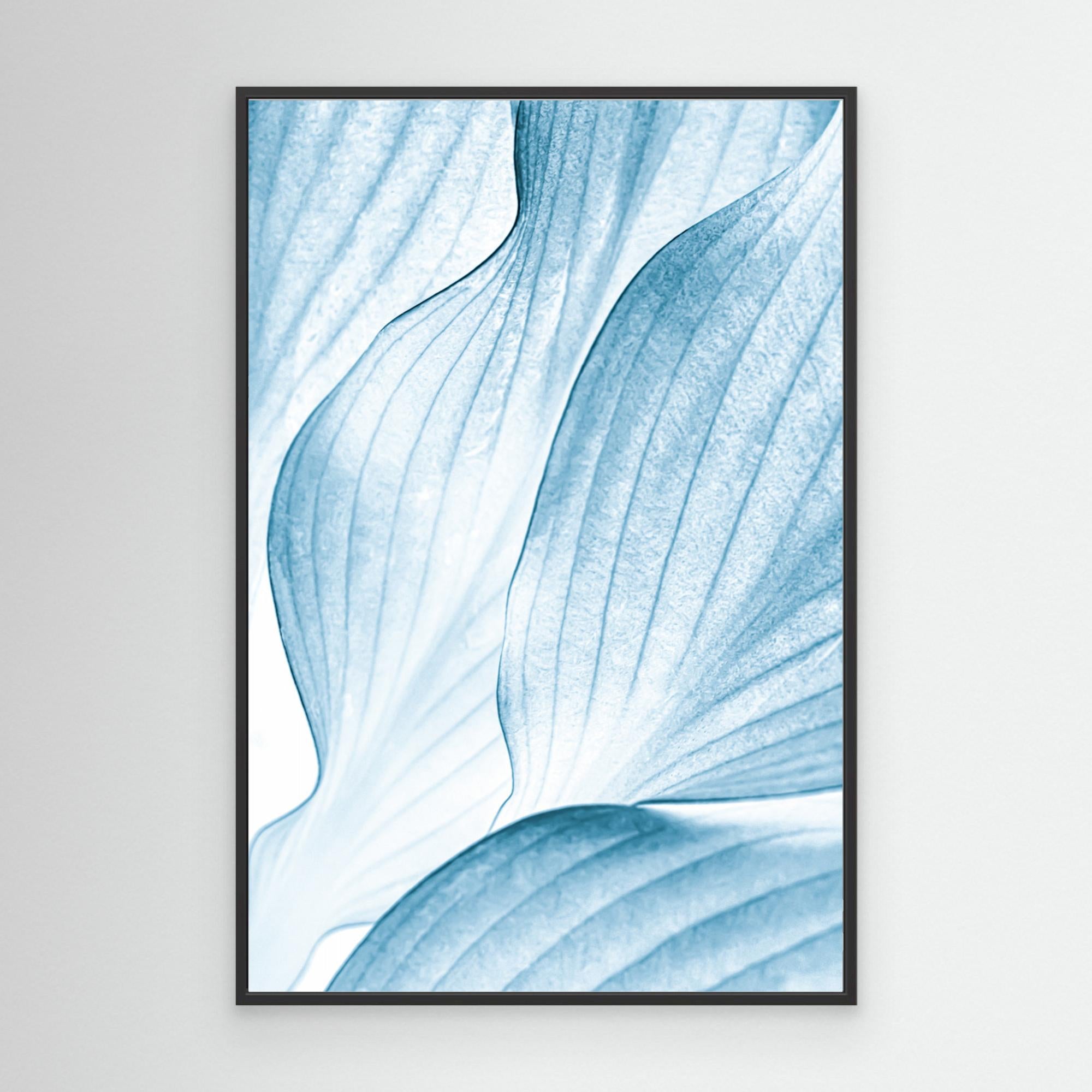 Icy Waves by Beth Buelow Canvas