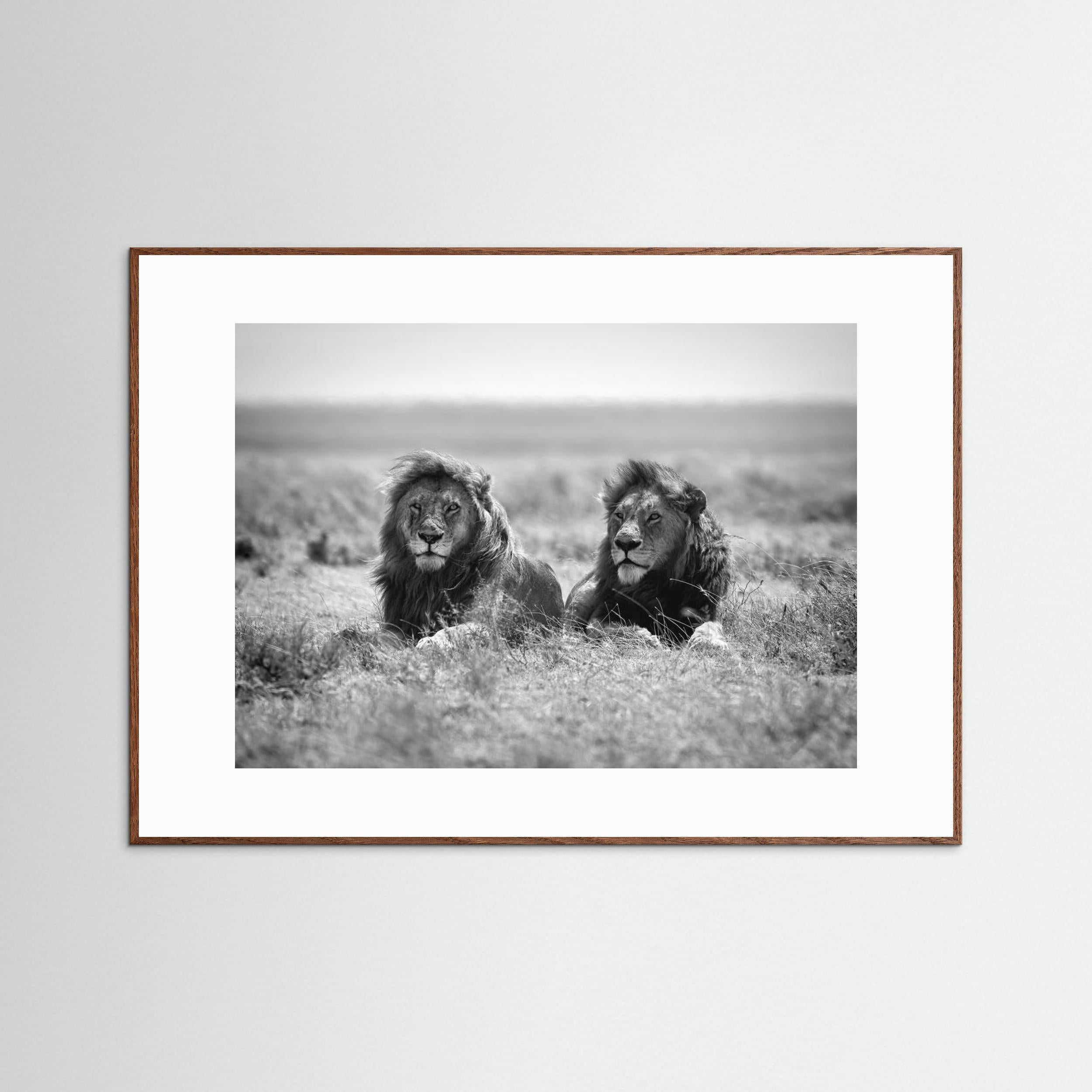 Two kings by Nicolás Merino Fine Art Paper 