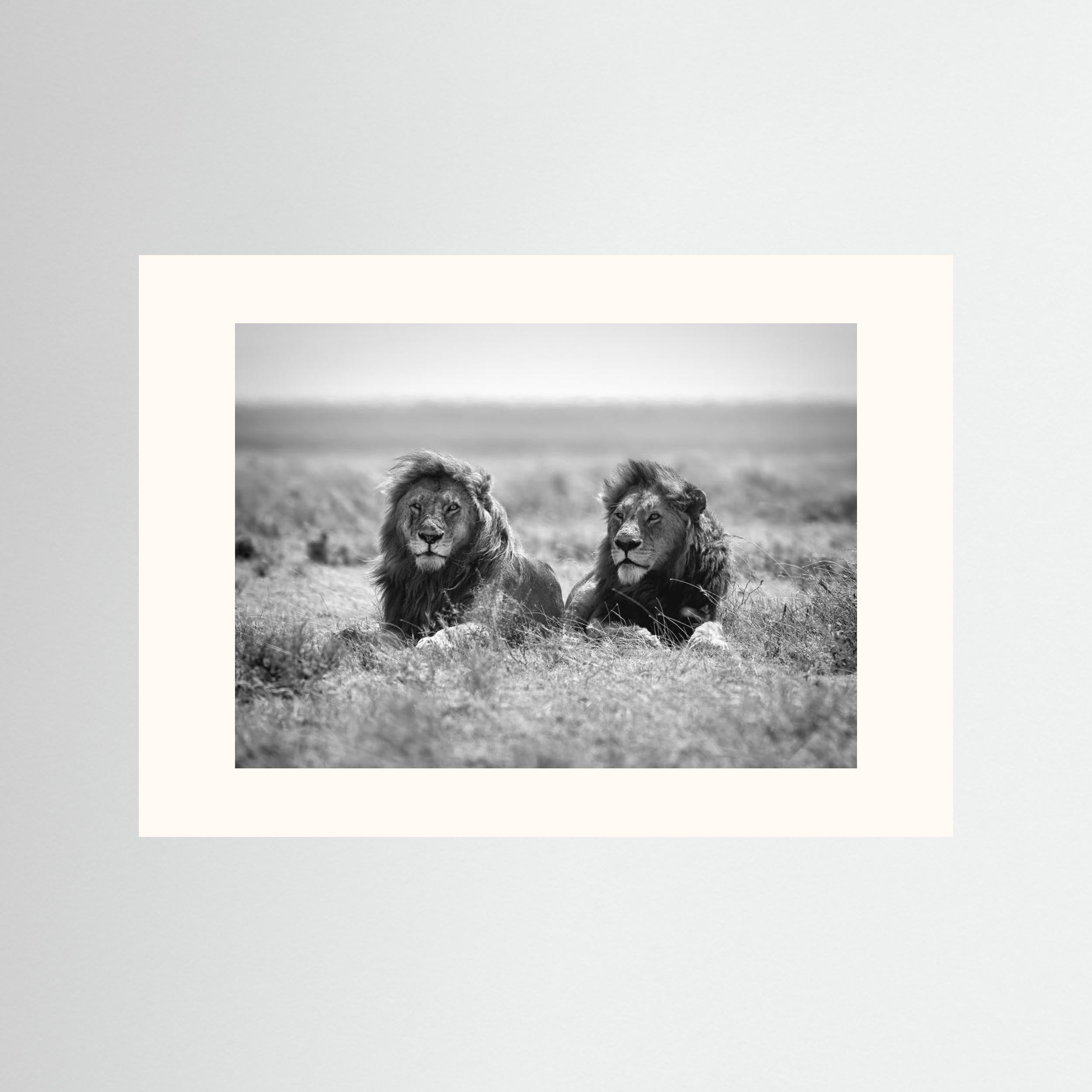 Two kings by Nicolás Merino Fine Art Paper 