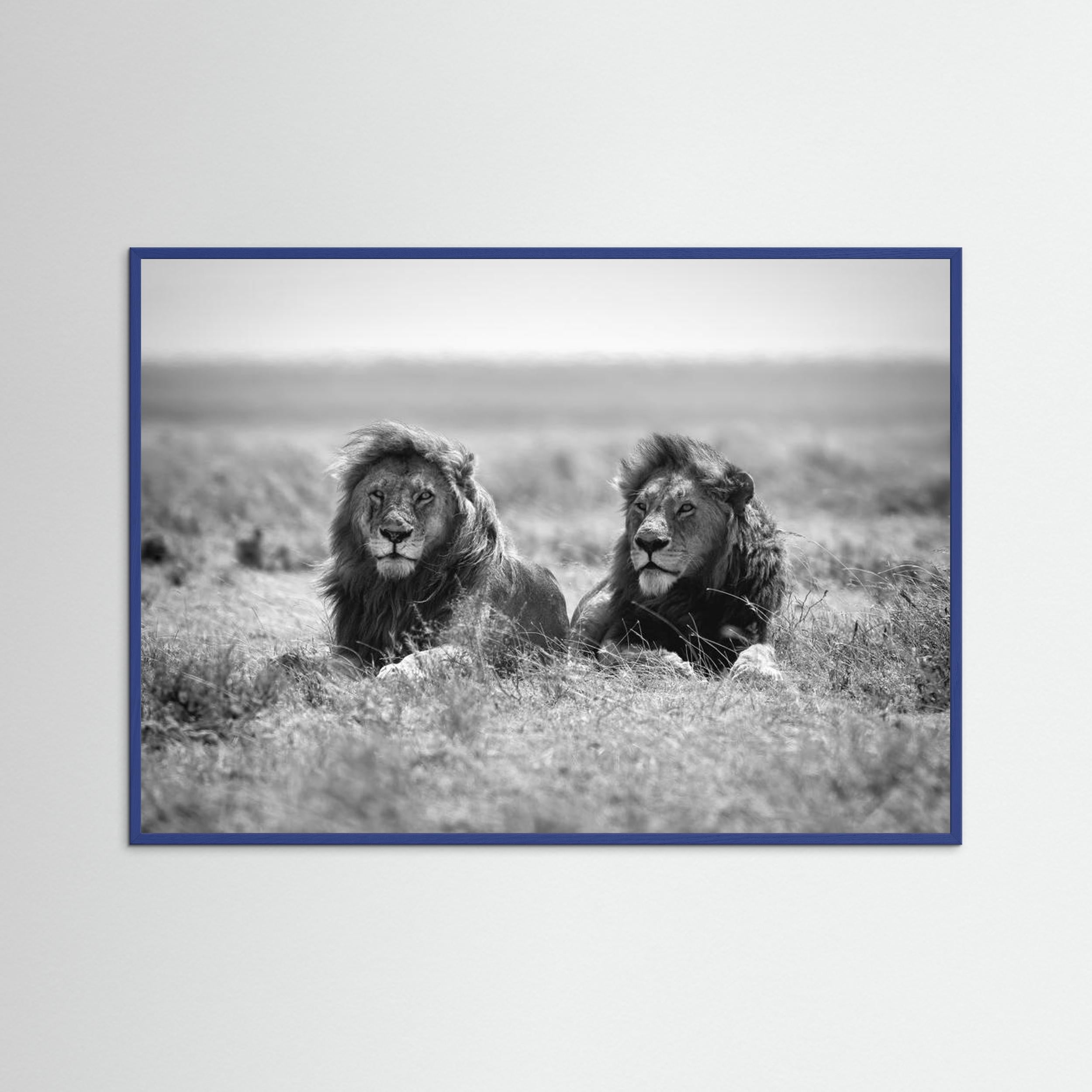 Two kings by Nicolás Merino Fine Art Paper 