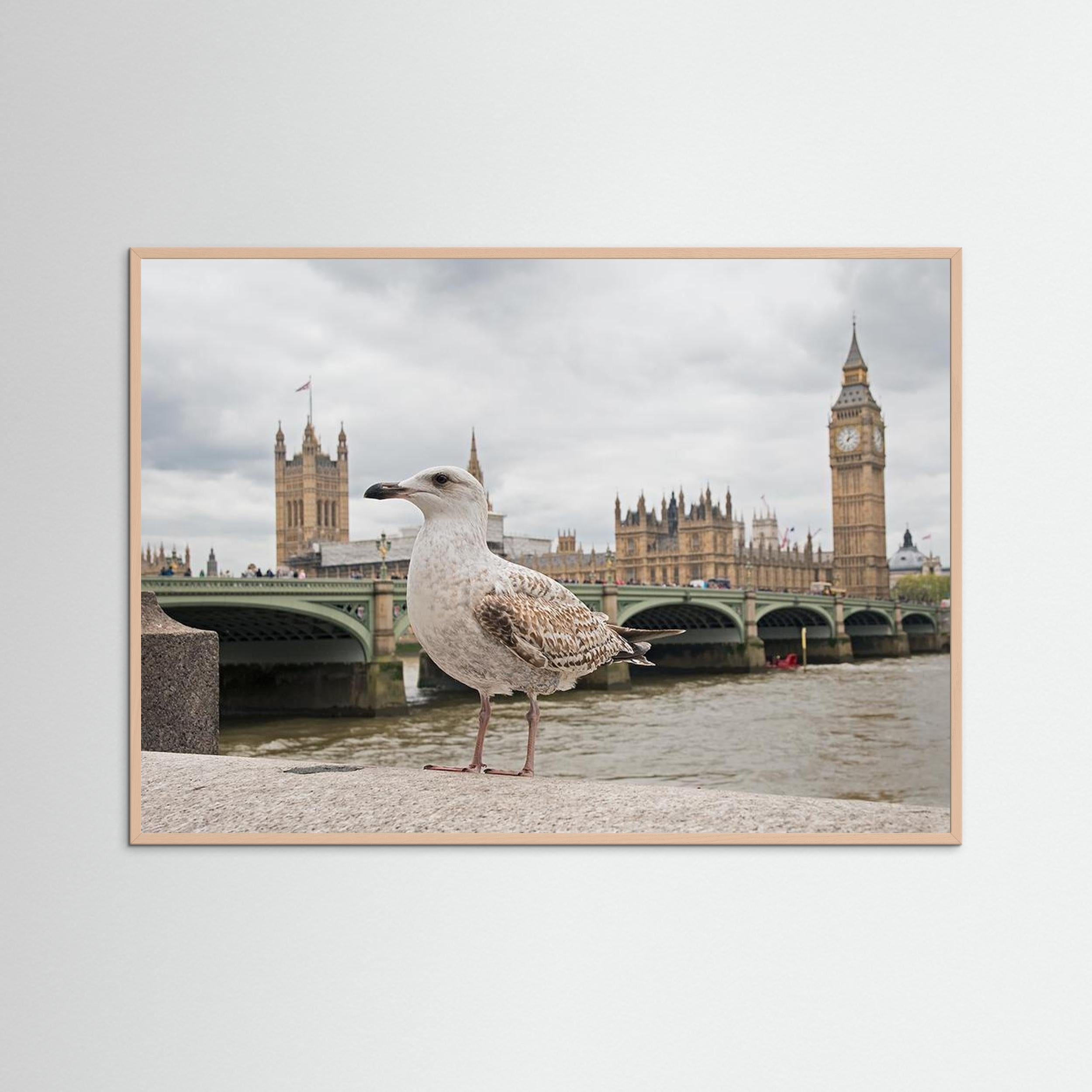 The Guardian by Marco Pozzi Fine Art Paper