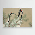 Cranes From Momoyogusa Canvas