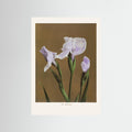 Iris Kæmpferi no2 Fine Art Paper 